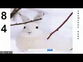 Lagomorphs