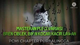 Download MASTERAN PLECI NEMBAK PANJANG ISIAN BREN CIBLEK, LAWAN DIJAMIN KOCAR KACIR MP3