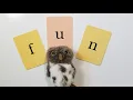 FUNdations Read Fluently by Scooping