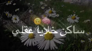 اجمل حالات واتس اب حبك عاملي ادمان ماشي بدم الشريان    دندنها