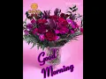 Good Morning Beautiful Flower What s Up Status Good Morning Wallpaper With Music Shorts