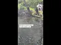 Beaver attacks family at New Jersey lake