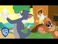 Download Lagu टॉम एंड जेरी हिंदी में | फ़ार्म में एडवेंचर्स | WB Kids
