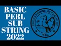 Perl Programming Tutorial - Substring Extraction 2022