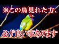 Download Lagu 一部の限られた人にしか見れません どんな事があろうと最優先で見てください 本当に凄い奇跡が起こります 無視はおすすめできません 誰にも内緒で見れたらあなたの人生が一変しますので心の準備をお願いします