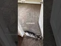 - Episode 1 Detroit MI