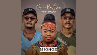 dvine brothers feat miss twaggy mjonge original mix 