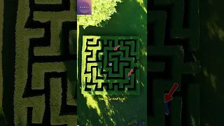 دخول متاهة الحب 