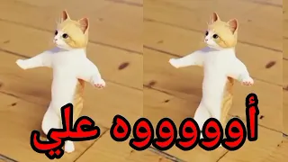   اغنية باسم علي الزين   سطلانة السعودية الامارات تركيا العراق قطر مسقط البحرين الجزائر دبي الرياض  دندنها