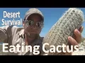 Cactus Eating - Desert Survival