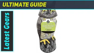Solar Powered Owl with Flashing Eyes Rotatable Head and Realistic Hoots - Best Garden