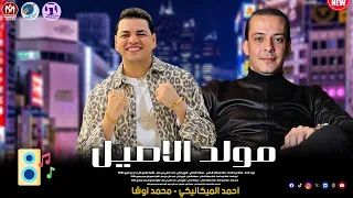 مولد الاصيل احمد الميكانيكي واوشا مصر طلعات هتكسر السماعات 2026 