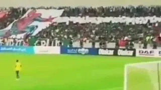 هو هو هو يا نادي الابطال المارد الاخضر 