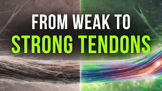 Why Your Tendons Are Weak: The Science of Building Tendon Strength