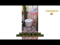 Review Plexon Incinerator Burn Barrel for Outside for Burning Trash Leaf - Metal Burn Can Cage Bin C