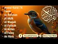 Download Lagu Murottal Alquran Merdu, Ar rahman, Al Mulk, Al Waqiah, Yasin, Al Baqoroh, Al Kahfi, by Alaa Aqel
