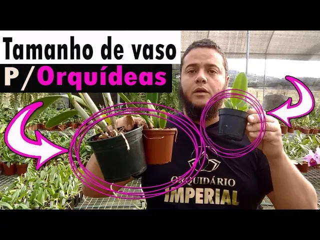 QUAL O MELHOR TAMANHO DE VASO NO CULTIVO DE ORQUÍDEAS?