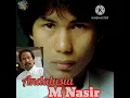 M NASIR- Andalusia