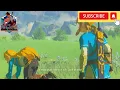 MEMORY SILENT PRINCESS IRCH PLAIN LEGEND OF ZELDA BREATH OF THE WILD