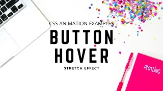 CSS Button Hover with Stretch Effect CSS Animation Examples