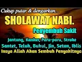 Download Lagu SHOLAWAT TIBBIL QULUB (SYIFA) PENYEMBUH SAKIT MEDIS NON MEDIS, SHOLAWAT SYIFA
