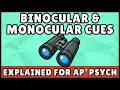 Binocular and Monocular Depth Cues AP Psychology