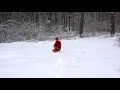 Cardinals Every Time It Snows