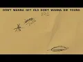 Fink & Jan Blomqvist - More