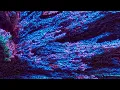 Right Now - Vandelux
