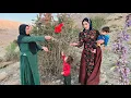 Download Lagu Nomadic life, the shepherd's mother meeting Zulfa and picking mountain barberry♥