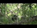 Solo Bushcraft Overnighter - 2