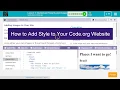 How to Add Style to Code org Using CSS