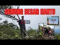 Download Lagu GUNUNG TERTINGGI DI N. SEMBILAN - GUNUNG BESAR HANTU (GBH). PERJALANAN YANG MENCABAR