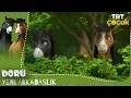 Doru Yeni Arkadaslik 2 Bolum