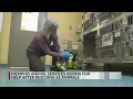 Memphis shelter rescues 61 animals asks for help