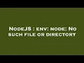 NodeJS env node No such file or directory