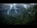 Rain Forest Thunder & Rain Sleep Sounds | White Noise 10 Hours