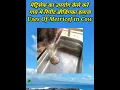 Uses Of Metricef in Cow