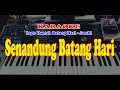 Download Lagu SENANDUNG BATANG HARI - Karaoke