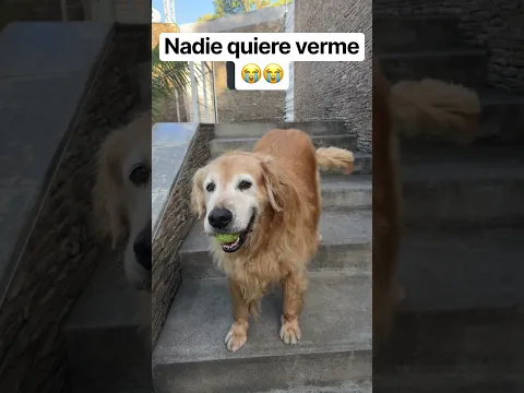 Nadie quiere verme ๐๐ฆฎ