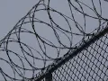 IL Muslim Civic Coalition - Illinois Prisons Mitigating and Emerging Disaster during Covid19