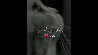 ياخالق الروح أن الروح متعبه ستويات حالات حزينه كتابه عن الموت حالات واتس اب ستويات انستا حزينه 