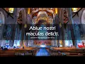 Music of the Mass | Latin Hymns & Chants | Catholic Church Songs | Choir w/ Lyrics & Translations