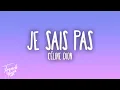 Download Lagu Céline Dion - Je sais pas