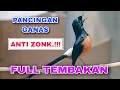 Download Lagu Masteran Murai Batu Full Isian | Suara Burung, Relaksasi Alam, Suara Kicau, Meditasi Alam