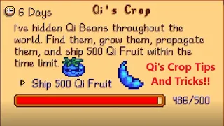 Tips And Tricks For Completing The Qi s Crop Quest In The Stardew Valley 1 5 Update