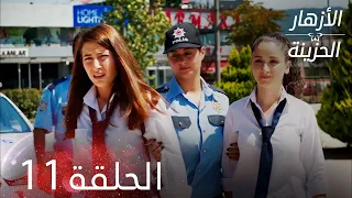 الأزهار الحزينة الحلقة 11 كاملة Kırgın Çiçekler 