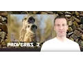 Proverbs Chapter 2 Summary and What God Wants From Us