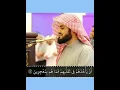 Lagu Surah An-Nahl ~ Sheikh Raad Al Kurdi - Beautiful Recitation! @Al-Quran-OurLight