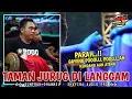 Download Lagu LAGU JARANAN KENDANG AAN ATENG LAGU VIRAL DILANGGAM TERBARU SASTRO MANGGOLO SHAFIRA AUDIO